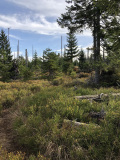 Grenzsteig_07