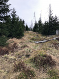 Grenzsteig_11