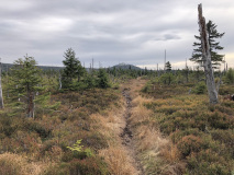 Grenzsteig_19
