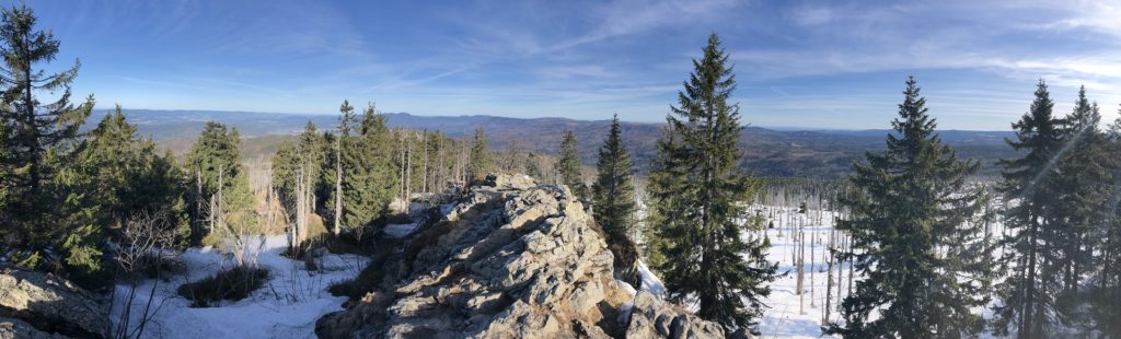 Panorama nach Norden